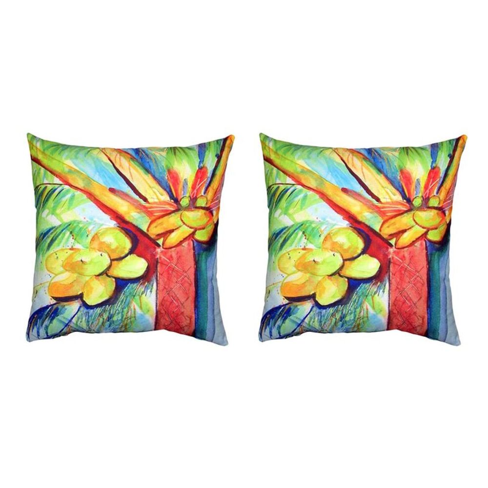 Pair of Betsy Drake Cocoa Nut Tree No Cord Pillows 18 Inch X 18 Inch